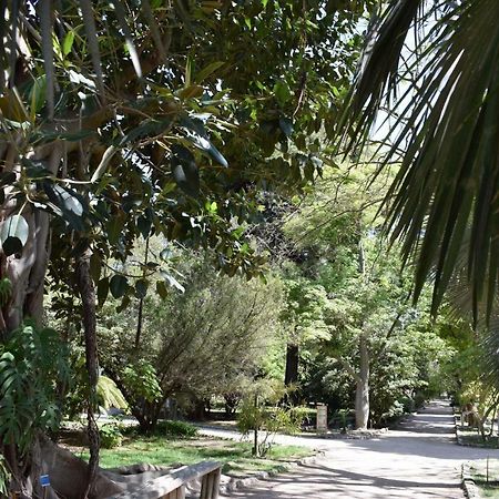 Green Apartment-City Centre كالياري المظهر الخارجي الصورة